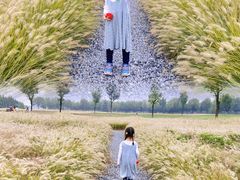 -汉长安城未央宫国家考古遗址公园