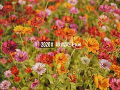 -映月湖中央公园