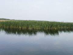 -微山湖红荷湿地景区