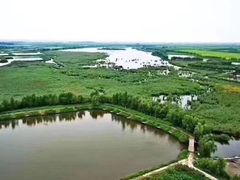 -白渔泡湿地公园