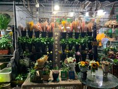 -循礼门鲜花花市(武汉循礼门店)