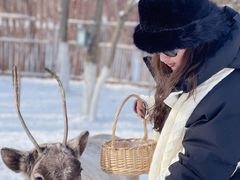 -长春世界雕塑园冰雪艺术天地