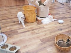 -袖虎·猫馆(体育西路店)