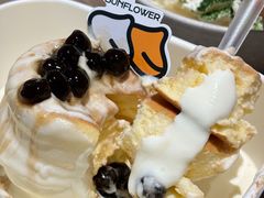 -狐狸和向日葵(北京路店)