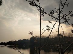 -三圣花乡旅游区