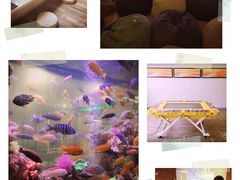 -御池园(顾村公园店)