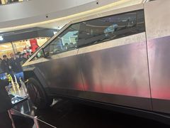 -TESLA 特斯拉(郑州正弘城体验店)