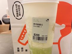 多肉玫珑瓜-喜茶(深圳海岸城店)