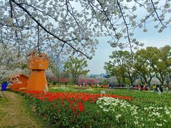 -苏州上方山国家森林公园