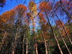 -广州市白云山风景名胜区