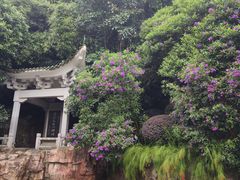 -广州市白云山风景名胜区