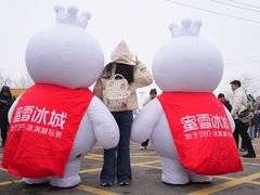 -少华山国家森林公园