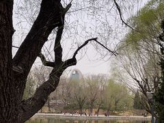 -团结湖公园