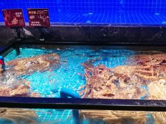 -忆江南·临江鱼馆