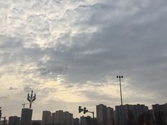 -川道拐耗儿鱼(置信路店)