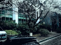 -南京工程学院(江宁校区)