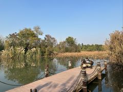 -白鹭湾湿地公园