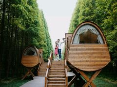 -黄海国家森林公园