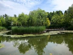 -山东鲁能乒乓球学校