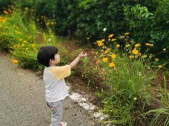 -武汉紫薇都市田园