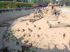 -西安秦岭野生动物园