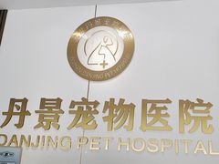-丹景宠物医院·全科·老年病·牙科(武昌诊疗中心)