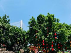 -大渡口区义渡公园