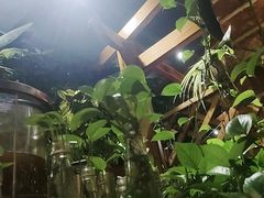 -草原塞蛮羊火锅城(港湾店)