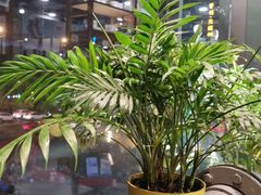 -鹿岛会员店 (龙湖三千集天街店)