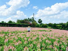 -广州莲花山旅游区