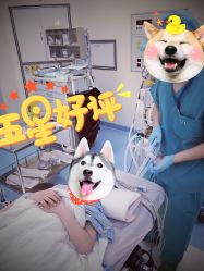 -天津和睦家医院