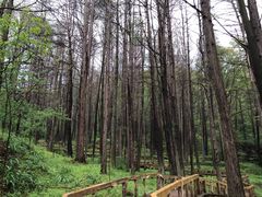-波尔登森林公园