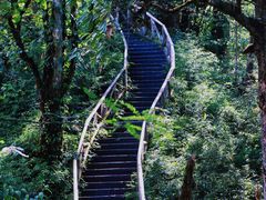 -龙苍沟森林公园