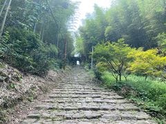-仙霞关景区