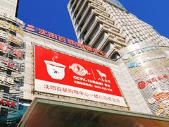 -沈阳百联购物中心(青年大街店)