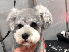 -宠福鑫康馨动物医院·骨科·眼科