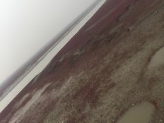 -红海滩国家风景廊道