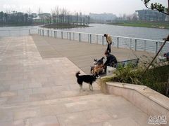 -新江湾城公园