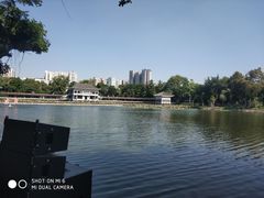 -荔湾湖公园