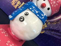-绍兴启迪乔波冰雪世界