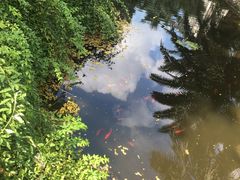 -苏州河梦清园环保主题公园