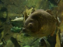 -洛阳龙门海洋馆