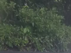 -碧水湾温泉