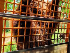 -南大门韩国米糕(公滨路店)