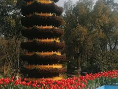 -南山植物园