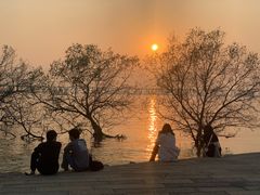 -宝安西湾红树林湿地公园