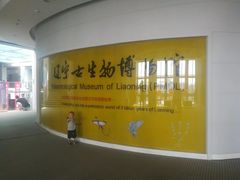 -辽宁古生物博物馆