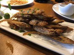 -浙C老邻舍(西城海错店)