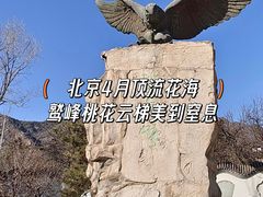 -北京鹫峰国家森林公园