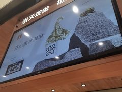 -野人先生现做冰淇淋(北京环宇荟店)